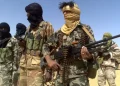 Tuareg Rebels Free Spanish Hostage Kidnapped in North Africa