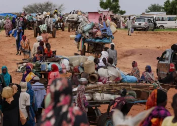 UN Seeks $4.2 Billion to Address Worsening Humanitarian Crisis in Sudan