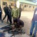 Joint Military-DSS Operation Seizes Arms Cache in Nigeria’s Zamfara State