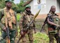 13 Peacekeepers Killed in Clashes with Rebels in DR Congo