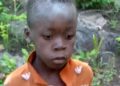 8-Year-Old Boy Survives Five Days Among Lions and Elephants in Zimbabwe Park