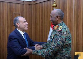 Egypt Reaffirms Commitment to Stability in Sudan