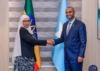 Ethiopia, Somalia Agree to Renew Cooperation in Fight Against Insurgents