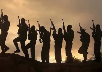 Lakurawas Terrorists Kill Four Soldiers in Niger Republic