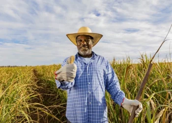 African Ministers Convene in Uganda to Chart 10-Year Plan for Food Self-Sufficiency