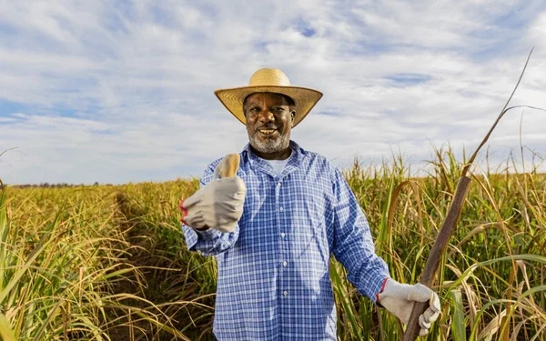 African Ministers Convene in Uganda to Chart 10-Year Plan for Food Self-Sufficiency
