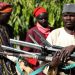 Boko Haram Militants Kill 40 Farmers in Nigeria’s Borno State