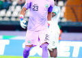 NIGERIA :Super Eagles Goalkeeper, Stanley Nwabali Loses Mother Months After Father’s Death