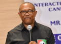 NIGERIA : No Merger Deal With NNPP, PDP Yet, Says Peter Obi