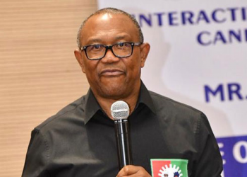 NIGERIA : No Merger Deal With NNPP, PDP Yet, Says Peter Obi
