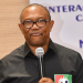 NIGERIA : No Merger Deal With NNPP, PDP Yet, Says Peter Obi