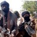Nigeria: Six Abducted, Vehicle Torched in Zamfara Bandit Attack