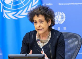 Irene Khan: UN Special Rapporteur Visits Zambia Amid Allegations of Stifling Dissent
