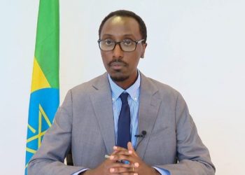 Ethiopia Seeks to Strengthen Ties with Japanese Investors Amid Economic Reforms