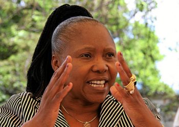 Zimbabwe’s Defence Minister Represents Mnangagwa at Mozambique Presidential Inauguration