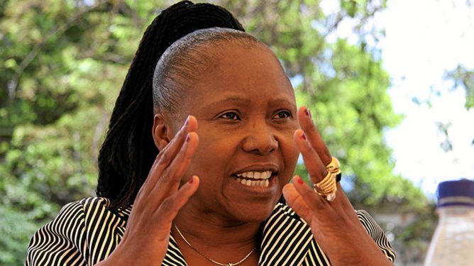 Zimbabwe’s Defence Minister Represents Mnangagwa at Mozambique Presidential Inauguration