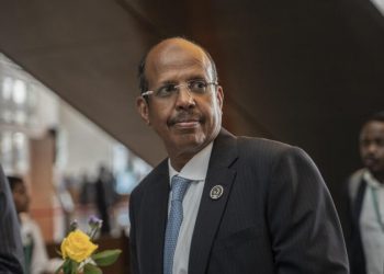 Djibouti’s Mahmoud Ali Youssouf Elected Chair of African Union Commission