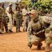 Central African Republic Soldiers Allegedly Kidnapped by Russian-Backed Mercenaries
