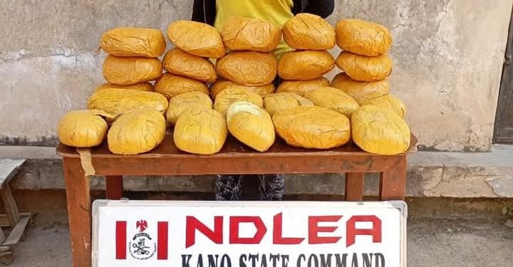 Nigeria: NDLEA Arrests Two Drug Lords After Excreting 125 Wraps of Heroin at Nigerian Airports