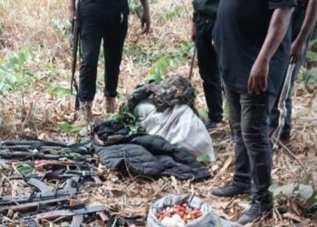Nigerian Police Kill Five ESN Members, Recover Weapons in Imo