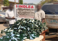 Nigeria: NDLEA Intercepts Illicit Drugs Hidden in Specially Constructed Bus Compartments