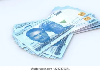 Nigeria: Naira Drops to N1,495.60 Against Dollar on Official Market