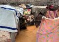 MSF Suspends Activities at Sudan’s Zamzam Camp Due to Heavy Fighting