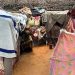 MSF Suspends Activities at Sudan’s Zamzam Camp Due to Heavy Fighting