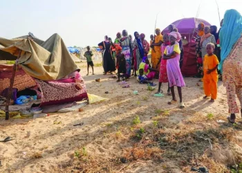 UN Appeals for $6 Billion to Tackle Humanitarian Crisis in Sudan