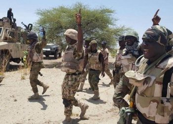 Nigerian Troops Ambush and Kill Two Terrorists in Borno, Recover Weapons