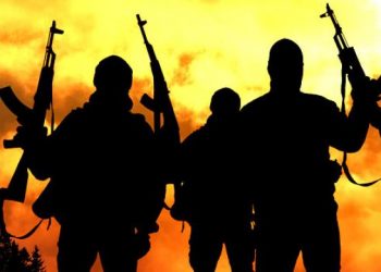 Nigeria: Armed Bandits Kill 11, Injure Others in Kaduna State Attacks