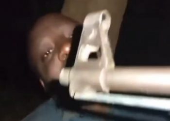 Nigeria: (VIDEO) Afenifere Youth Leader Begs for Life as Kidnappers Set N100 Million Ransom Deadline