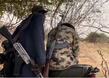 16 Killed as Armed Bandits Launch Deadly Attacks in Niger Republic