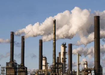 Nigeria: MAN Warns Proposed 15% Port Tariff Hike Will Worsen Inflation