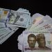Naira Records Strongest Gain Against Dollar in Parallel Market