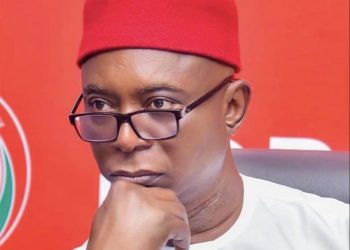 Nigerian Senate Confirms Ned Nwoko’s Defection from PDP