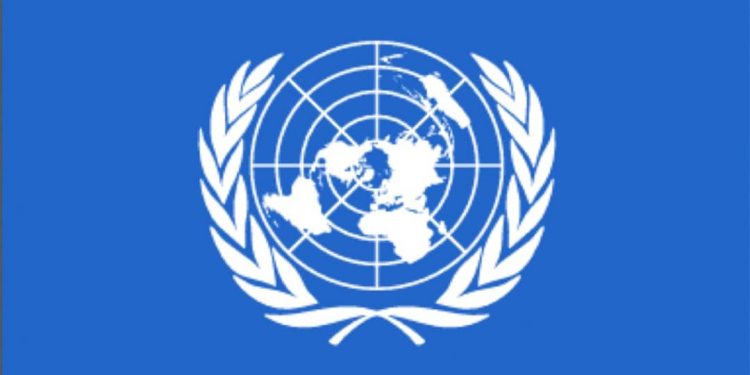 UN Security Council Demands Immediate Ceasefire in Eastern DR Congo