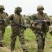 Nigerian Troops Destroy Bandit Stronghold in Sakkarawa Forest, Kill Several Criminals