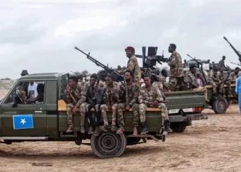 Somali Counter-Terrorism Forces Kill 40 ISIS Members in Military Operation