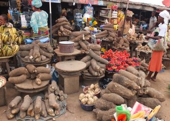 Nigeria’s Economy Sees Fastest Growth in Three Years, Driven by Services Sector