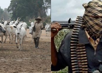 Nigeria: Suspected Herdsmen Attack Three Communities in Benue State, Residents Flee