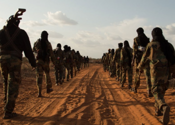 Somali Army, Local Forces Kill Over 70 Al-Shabaab Militants in Major Offensive