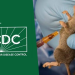 NIGERIA : Plateau State Confirms Two Deaths in Suspected Lassa Fever Outbreak