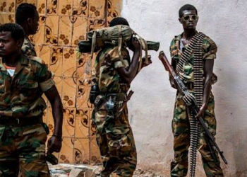 U.S. Airstrikes in Somalia Target Senior Islamic State Planner, Killing Multiple Militants