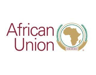 Two Zimbabwe Candidates Advance in Race For Key African Union Commission Roles