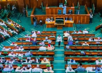 House of Reps Proposes Creation of 31 New States in Nigeria