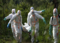 Mysterious Illness Kills Over 50 in DR Congo, Symptoms Appear Within 48 Hours