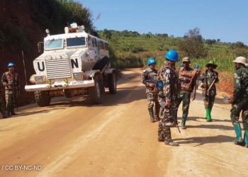 CODECO Militia Kills Over 35 Civilians in Brutal Attack on Eastern Congo Villages