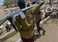 Nigeria: 15 Dead in Benue as Armed Herders Launch Fresh Attacks