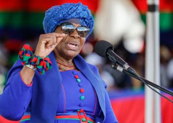 Namibia’s New President Names Finance Minister and Trims Cabinet